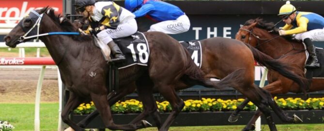 Stradbroke Handicap Tips 2025