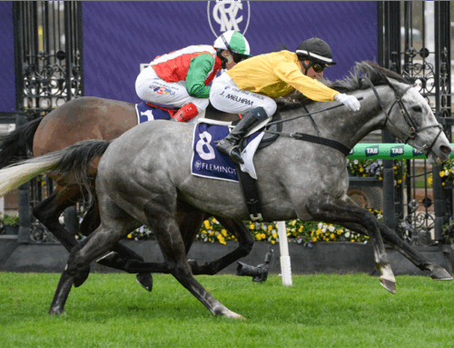 Mormona | Melbourne Cup