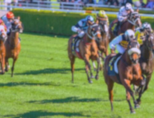 Missile Stakes Day 2025 Tips – Race Guide & Best Bets