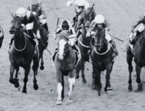 San Domenico Stakes Day 2025 | Rosehill Racing Tips & Analysis