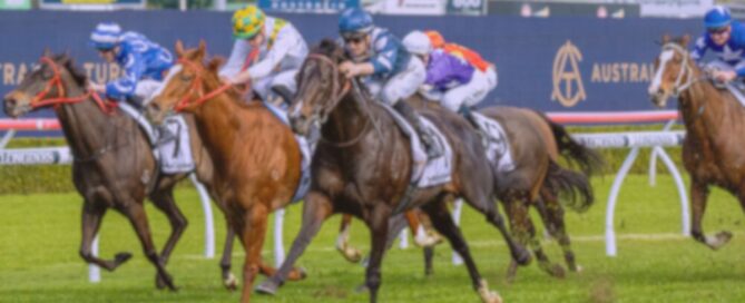 winx stakes day 2025 feat