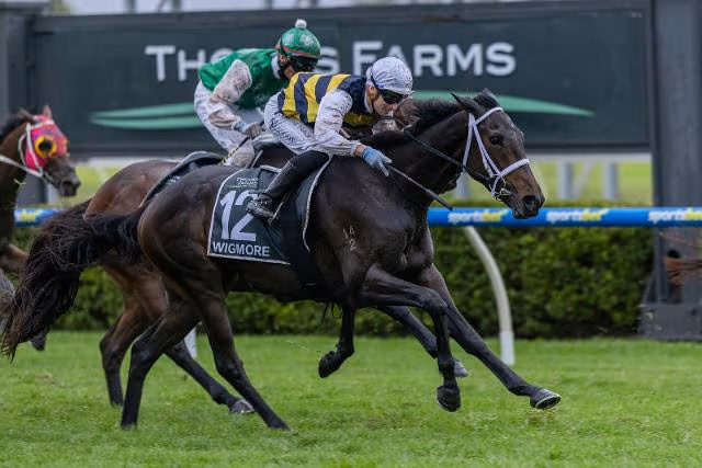 Black Booker Racing Tips: Brisbane Winter Carnival Watchlist